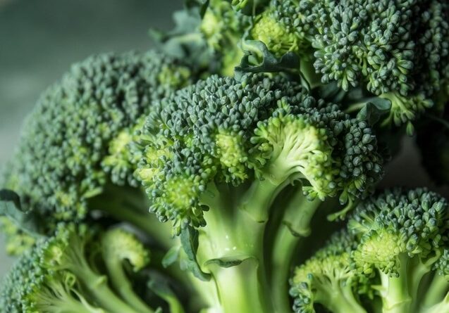 Broccoli Farming in Hindi ! Broccoli Ki Kheti Kaise Kare.